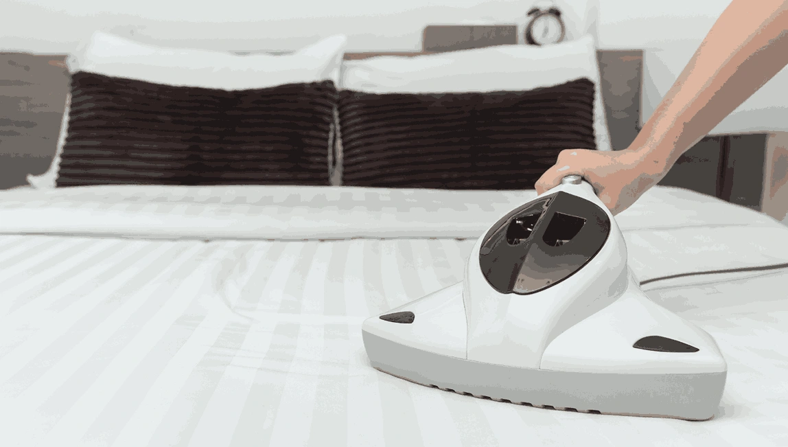 Professional Mattress Cleaning Kingsbury
